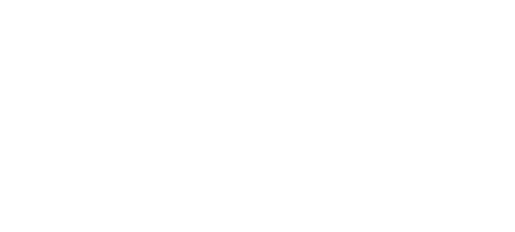 Berry Numérique