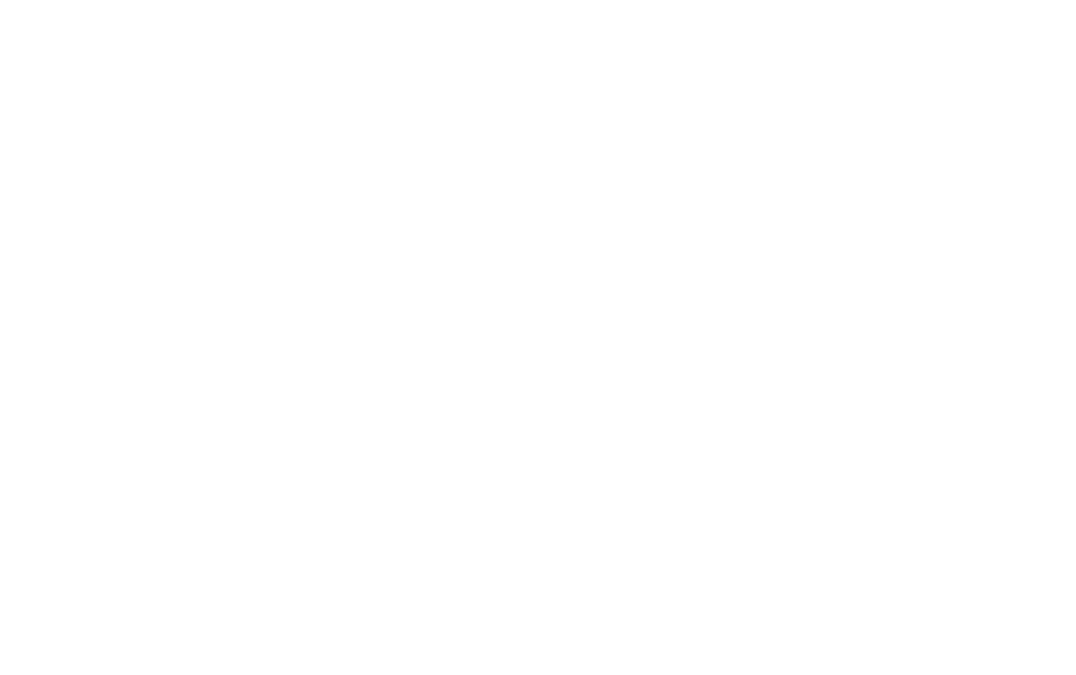 CONSEIL DÉPARTEMENTAL DU CHER